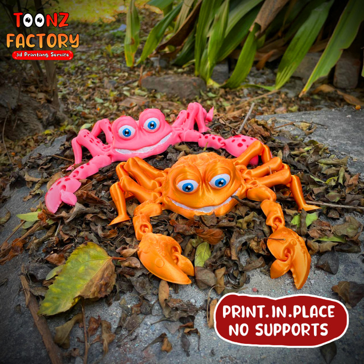 PRINT-IN-PLACE FLEXI CRAB ARTICULATED image