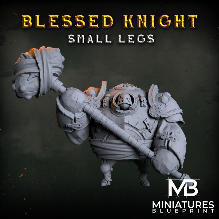 Blessed Small Legs Knight