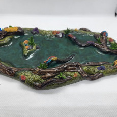Picture of print of LONG SWAMP