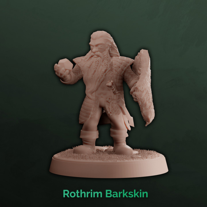 Rothrim Barkskin - Dwarf fighter