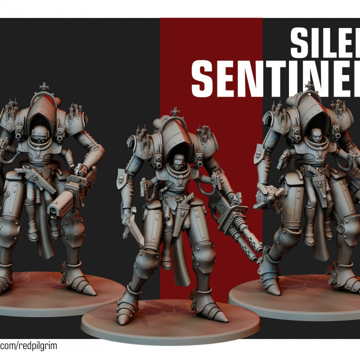 Silent Sentinels image