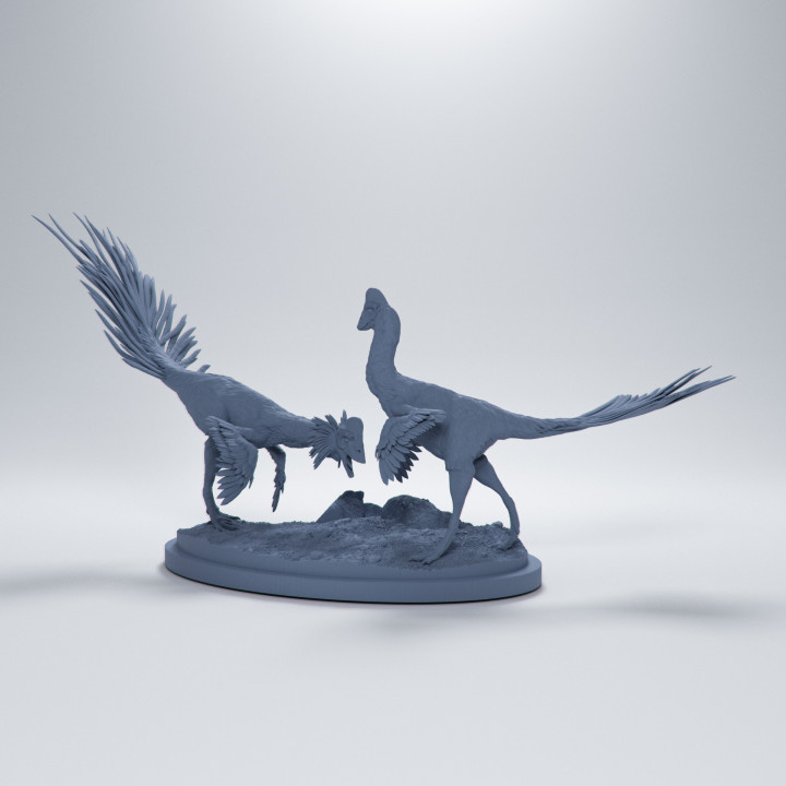 Anzu courting 1-35 scale pre-supported dinosaur image