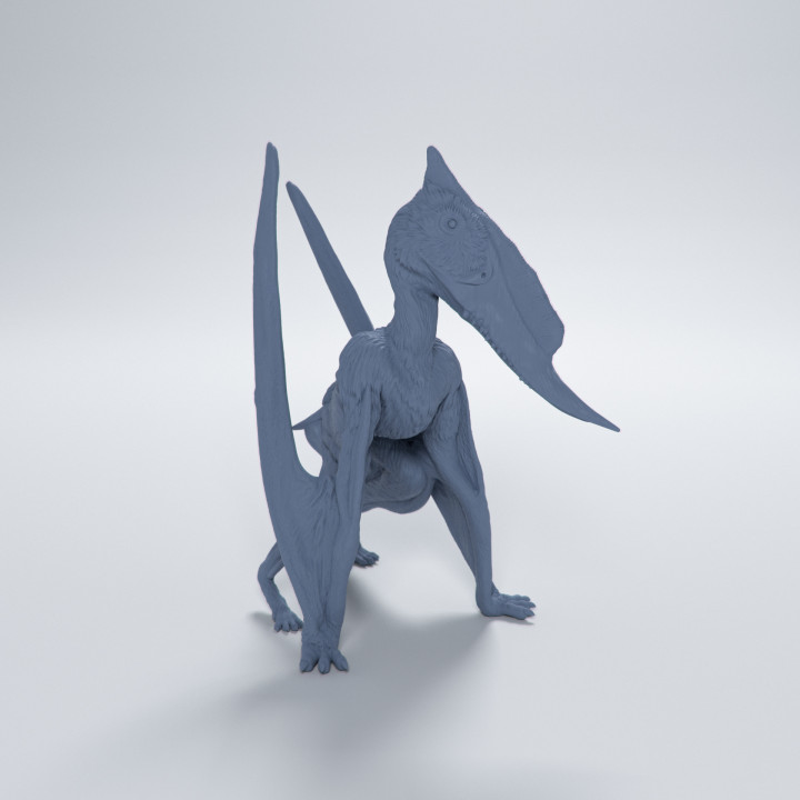 Dsungaripterus point down 1-24 scale pre-supported pterosaur