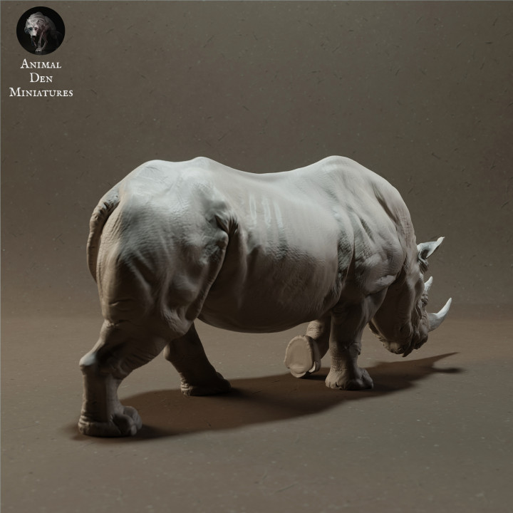 Black Rhino image