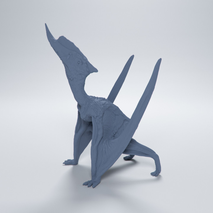 3d-printable-dsungaripterus-looking-up-1-24-scale-pre-supported-pterosaur-by-dino-and-dog