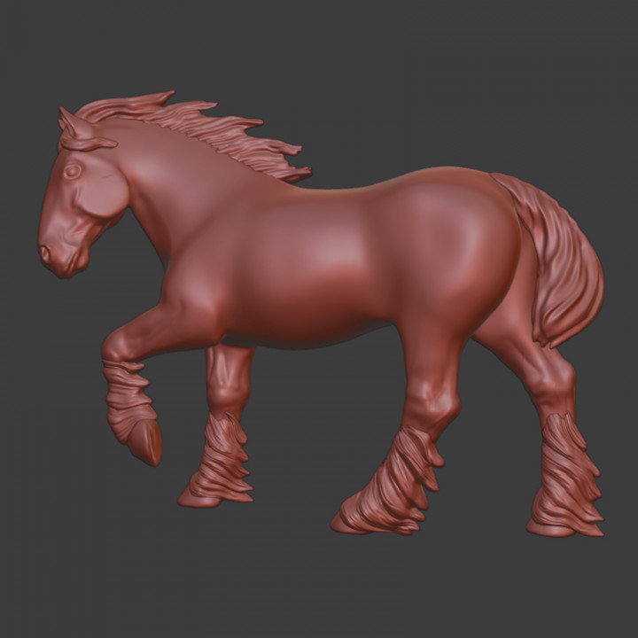 Shire horse, draft horse image