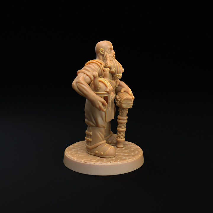 Sussor, The Dwarf | PRESUPPORTED | Dragons of The Lodge image
