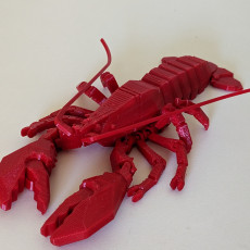 Picture of print of Boston lobster