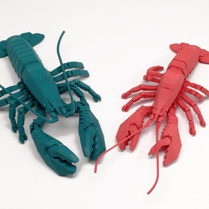 Boston lobster image