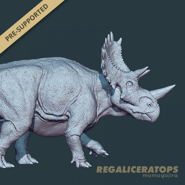 Regaliceratops image