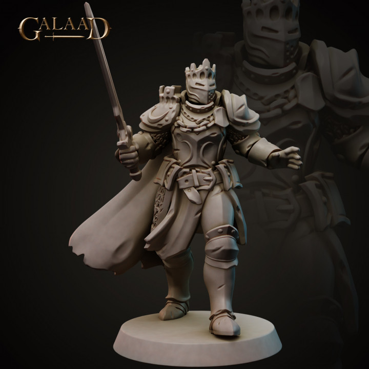 Knights Release - Modular heads image