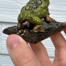 Triclopean Toads