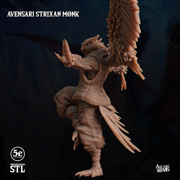 Avensari Strixan Monk image