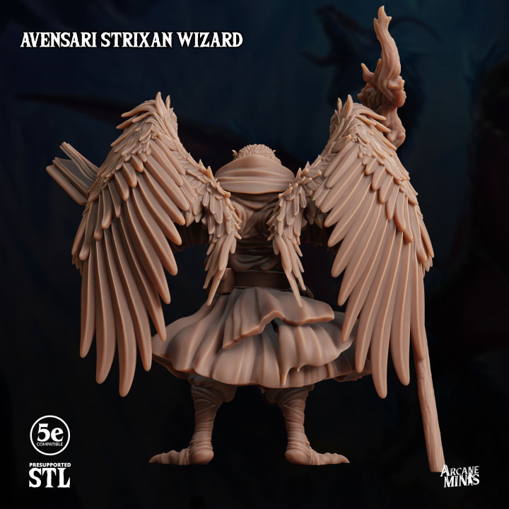 Avensari Strixan Wizard image
