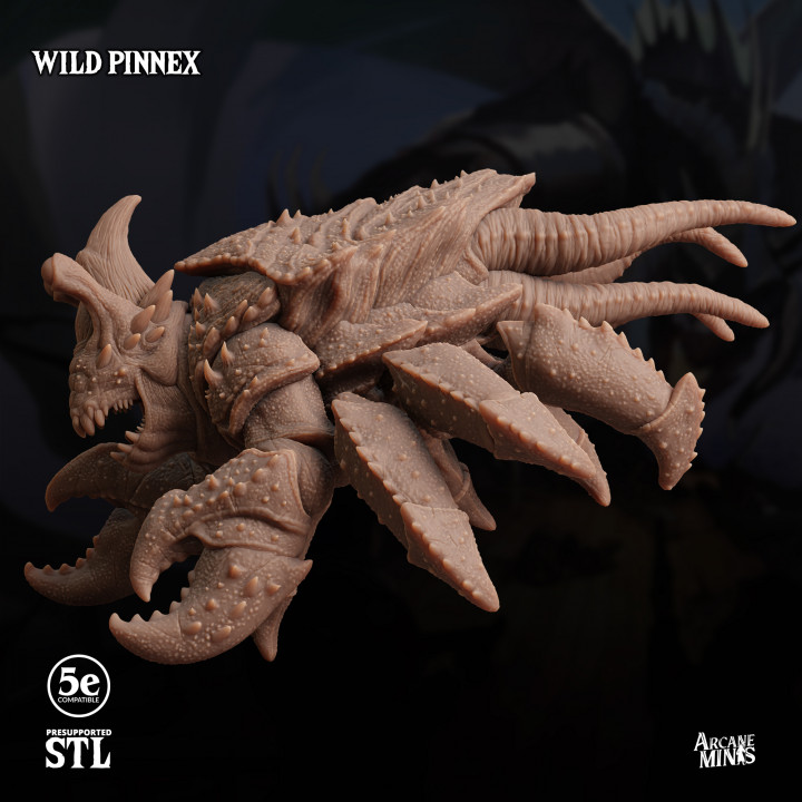 Wild Pinnex image