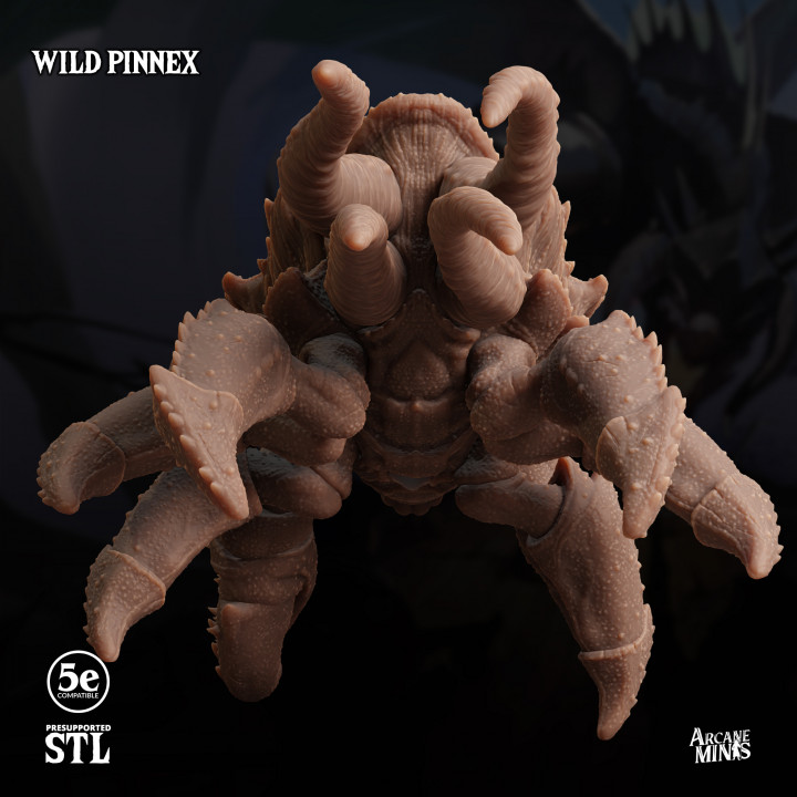 Wild Pinnex image