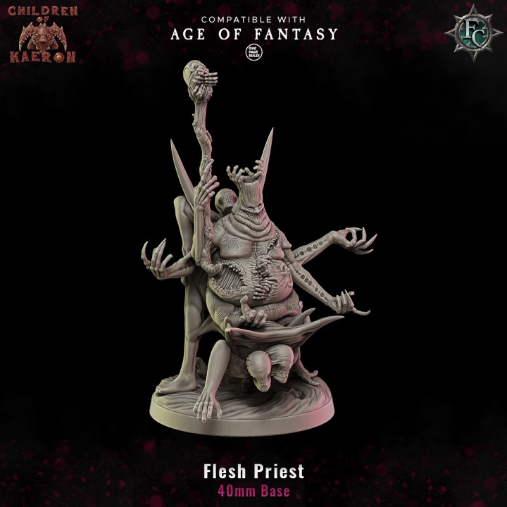 Flesh Priest image