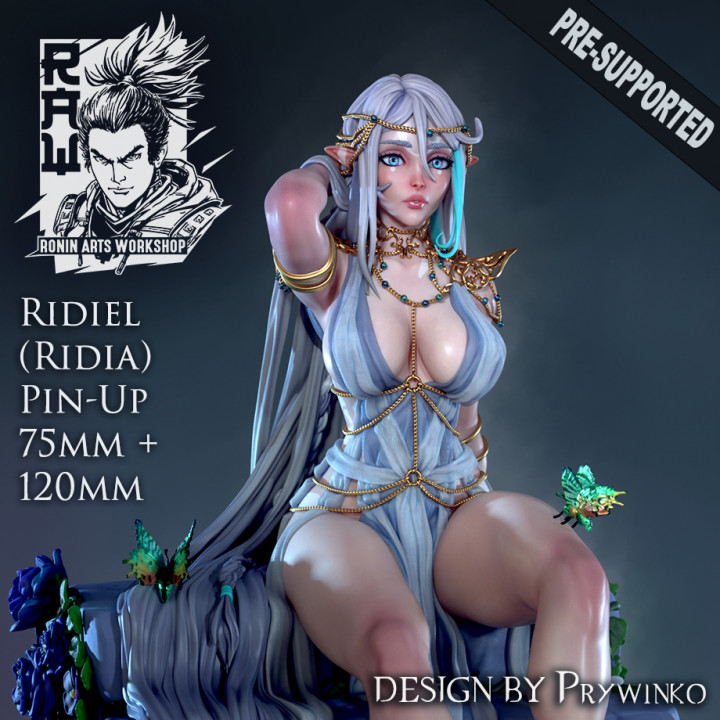 Ridia Pin Up -  75mm plus 120mm (Presuported) image