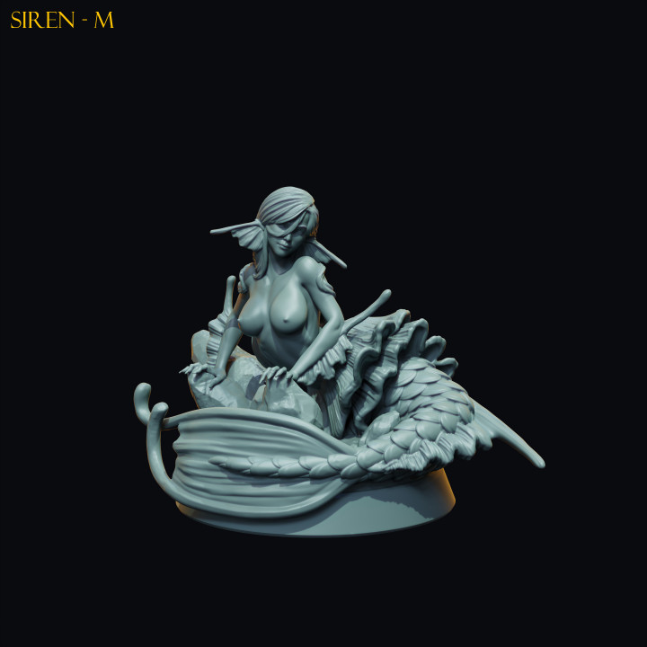 Siren image