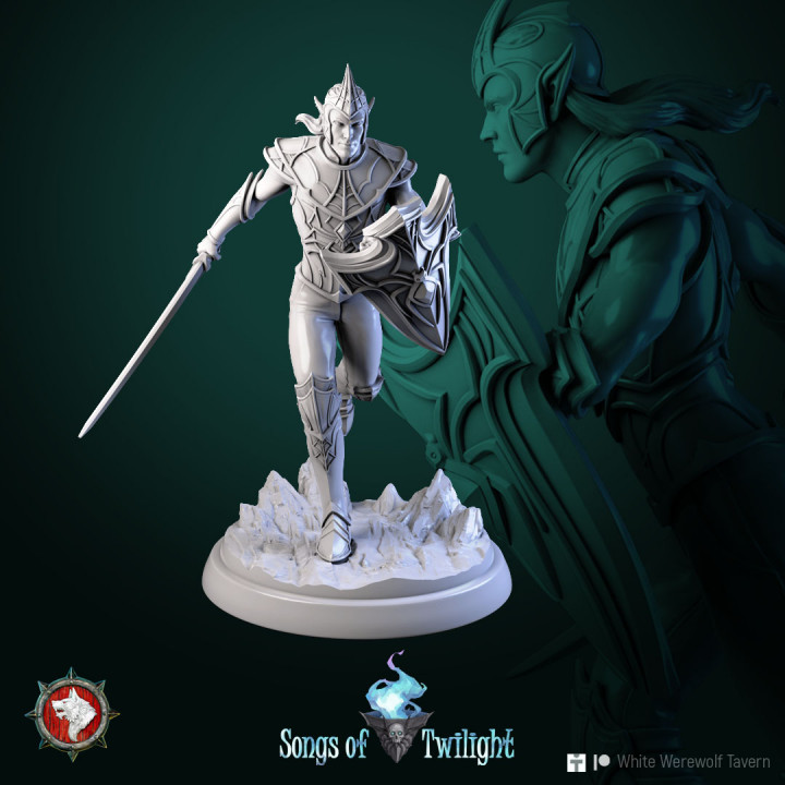 Drow Warriors set 6 miniatures 32 mm pre-supported