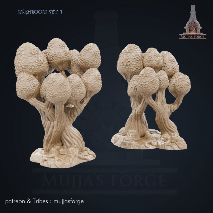mushroom set 1 - FFST&P