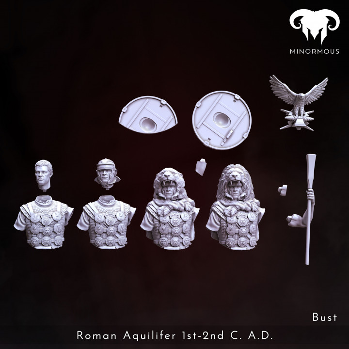 Bundle - Roman Aquilifer 1st-2nd C. A.D. Looking at the Battlefield! image
