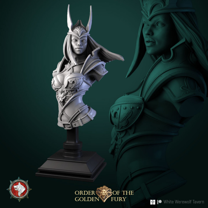 'Order of the Golden Fury' January Release 25 STL's miniatures pre-supported image