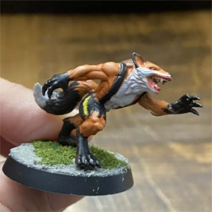 Canadian Werecreatures - Werefox