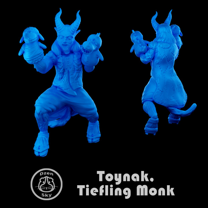 TOYNAK, TIEFLING MONK (DND)