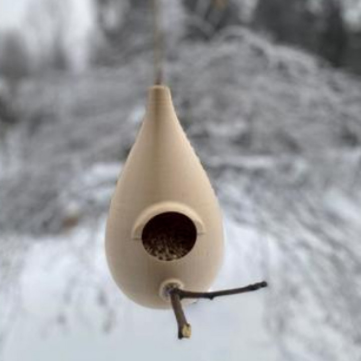 Bird Feeder image