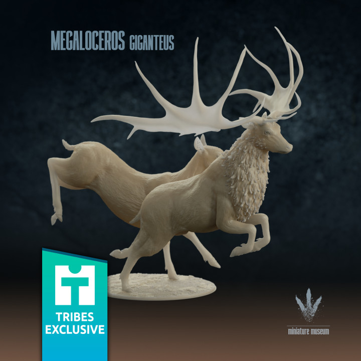 Megaloceros giganteus : Run