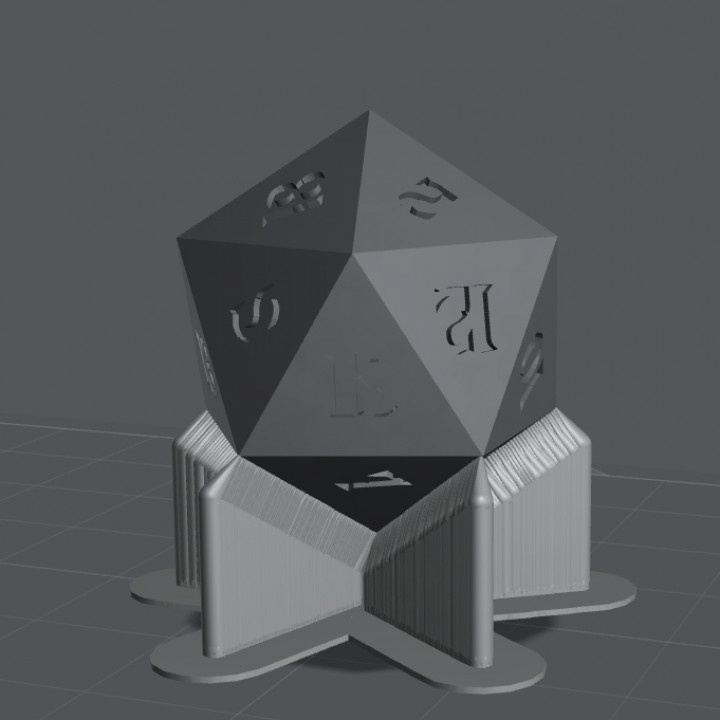 D20 Master image