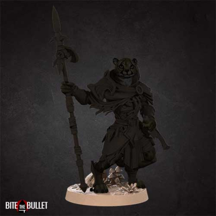 Tabaxi Ranger image