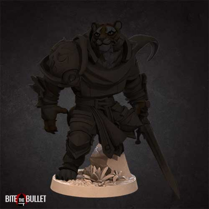 Tabaxi Paladin image