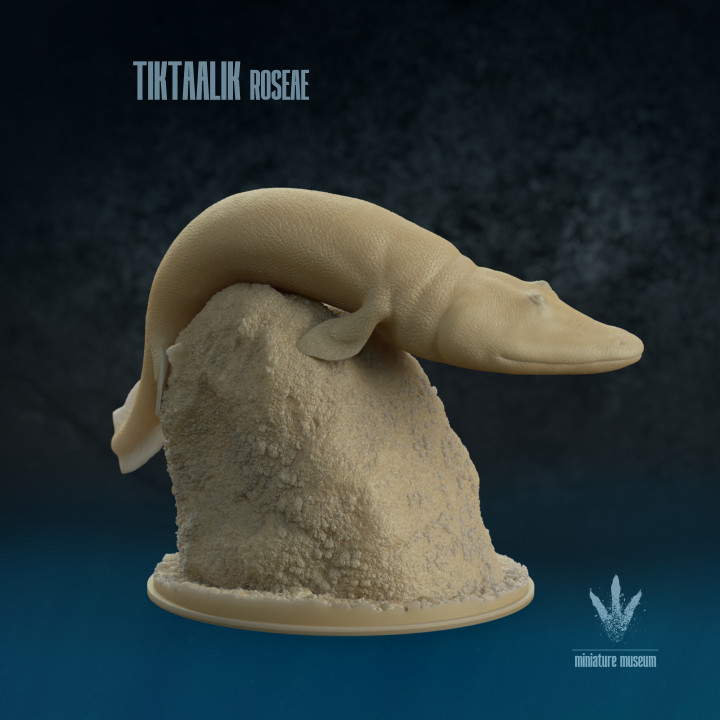 Tiktaalik roseae : Climb