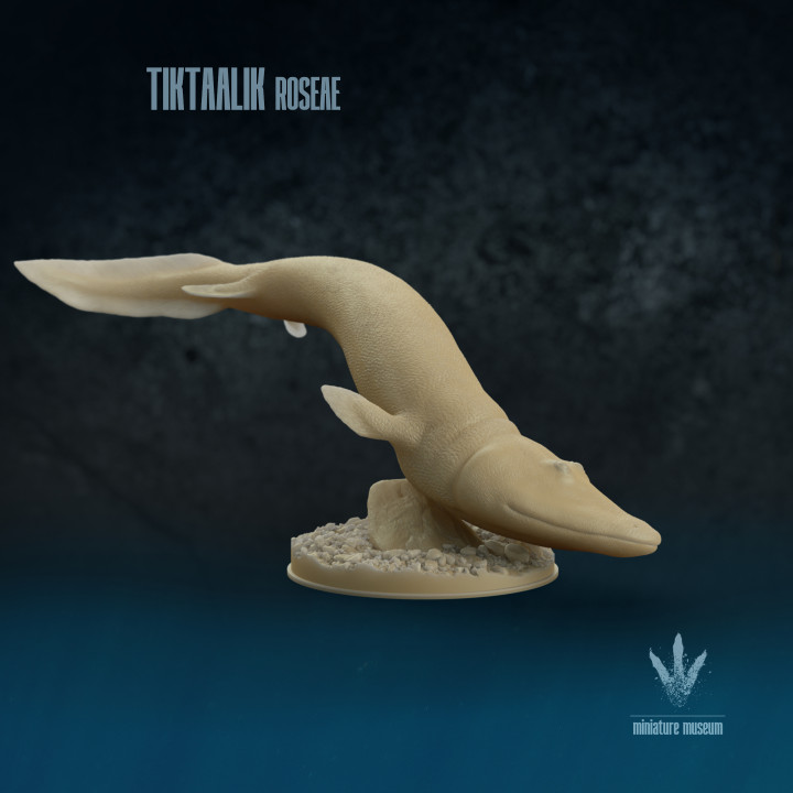Tiktaalik roseae : Swimming