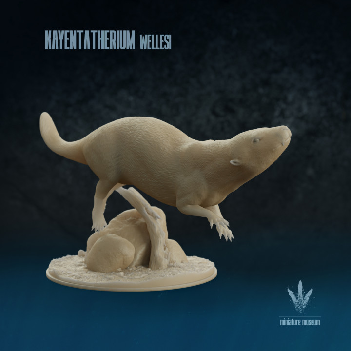 Kayentatherium wellesi : Swimming image