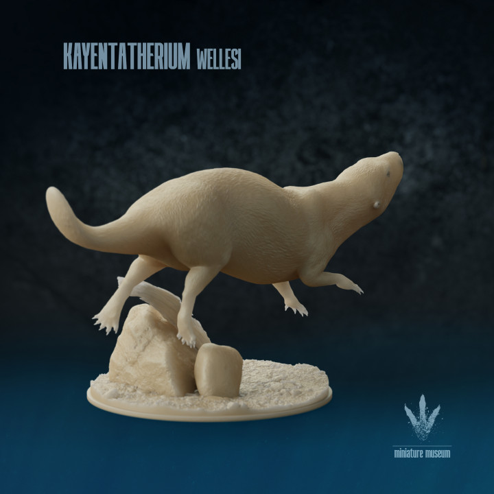 Kayentatherium wellesi : Swimming image