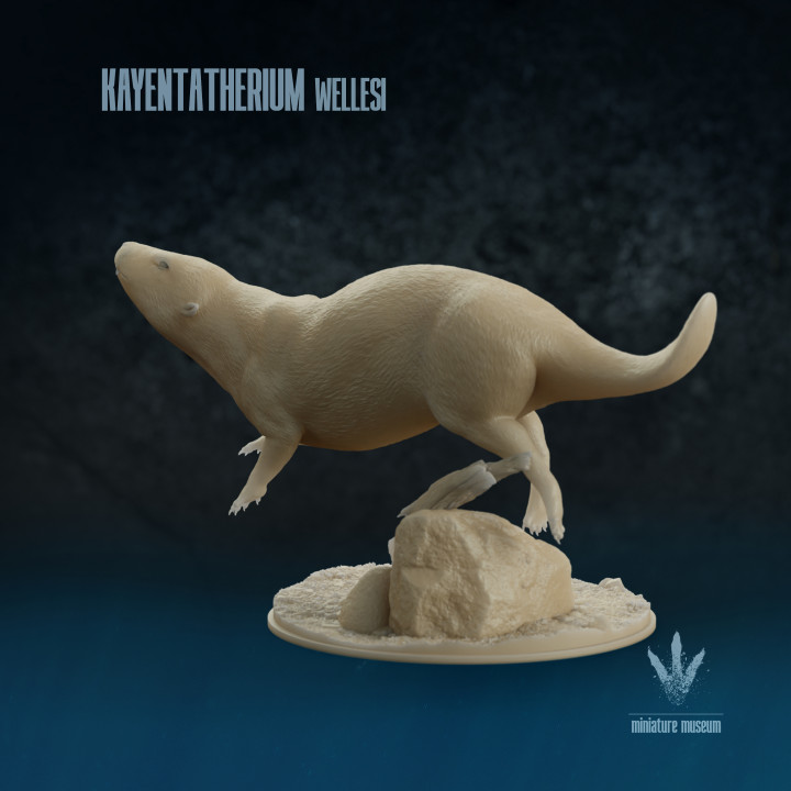 Kayentatherium wellesi : Swimming image