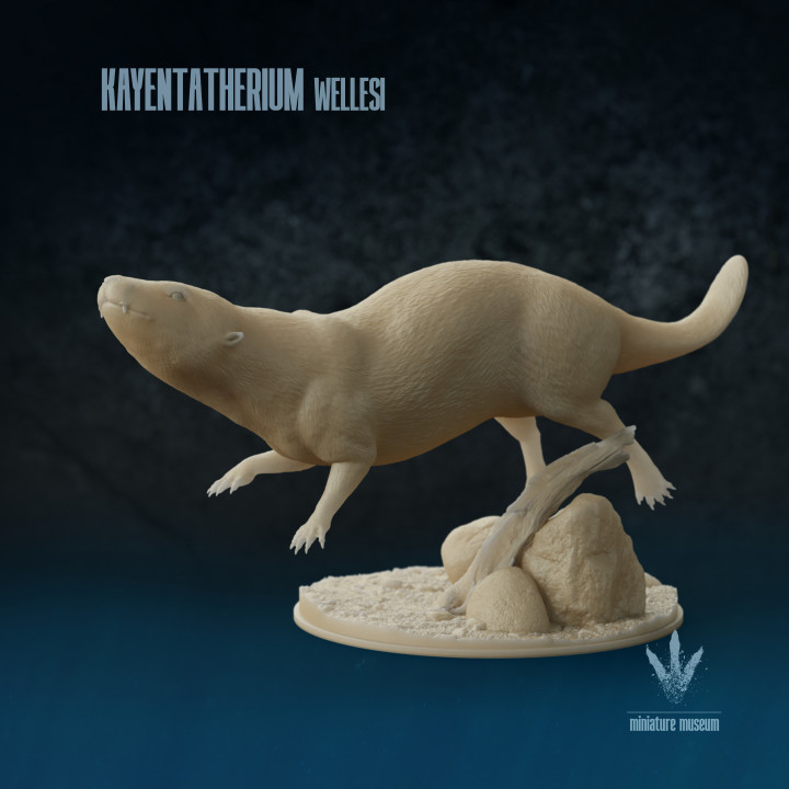 Kayentatherium wellesi : Swimming image