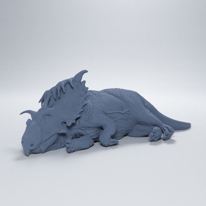 Kosmoceratops sleeping 1-35 scale pre-supported dinosaur image