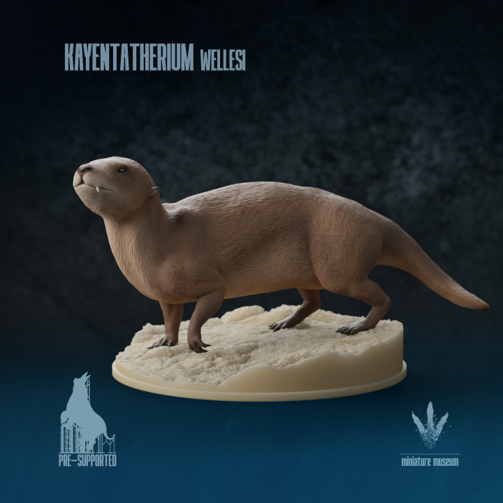 Kayentatherium wellesi : Beast from Kayenta image