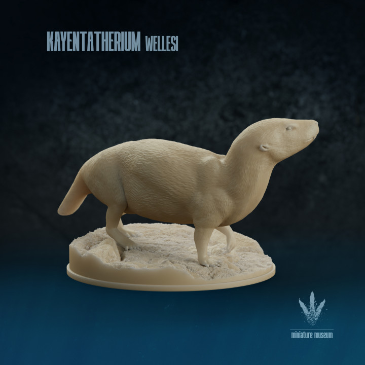 Kayentatherium wellesi : Beast from Kayenta image