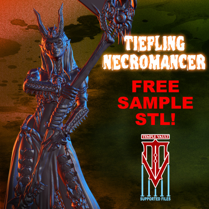 Tiefling Necromancer image