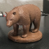 Bear - Animal print image