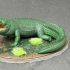 Crocodile - Animal print image