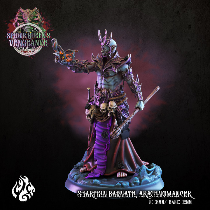 Sharfein Baenath, Dark Elf Arachnomancer image