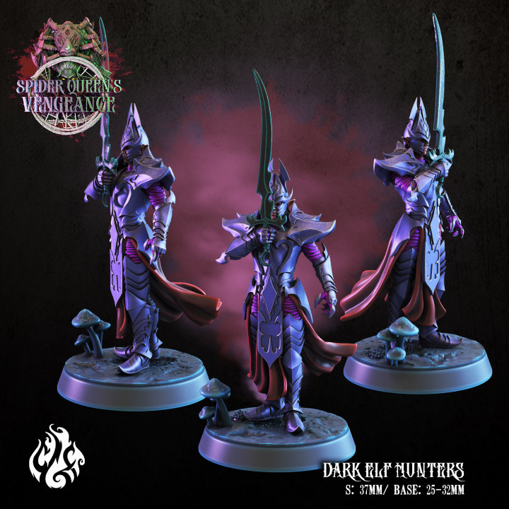 Dark elf Hunters
