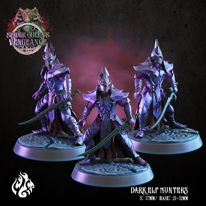 Dark elf Hunters image