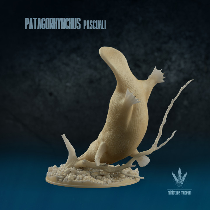 Patagorhynchus pascuali: The Ancient Platypus image